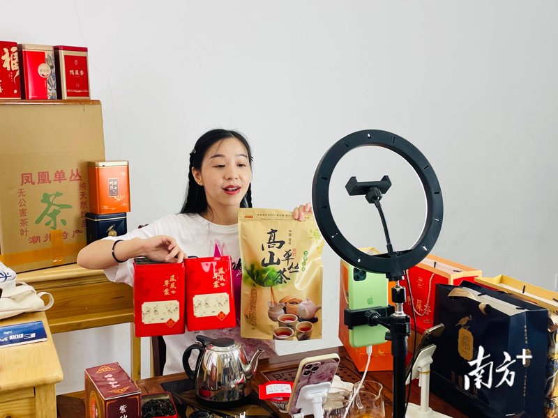 网络销售是干什么的？揭示其核心职能与价值