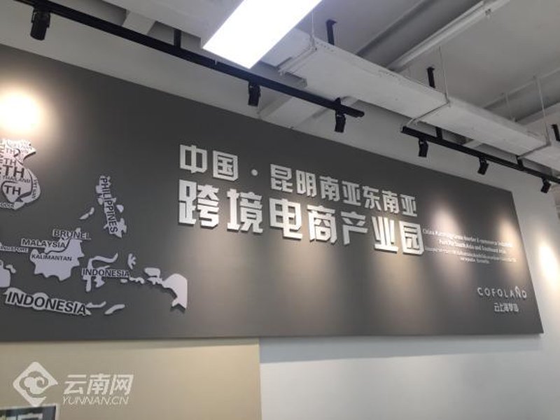 数字化营销策略：打造品牌新高度